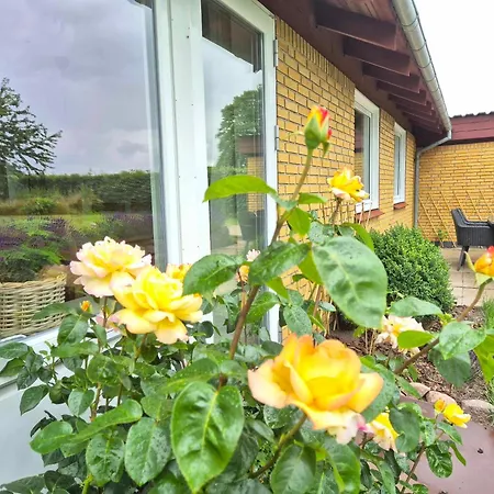 Villa In Denmark - Hygge Otterup